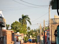 DSC 7010