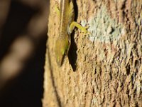 DSC 5457