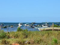 DSC 5640