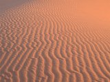 paysage-293.JPG